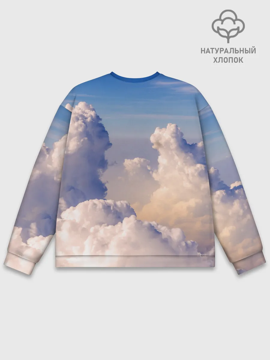 Мужской свитшот базовый / Light Fury