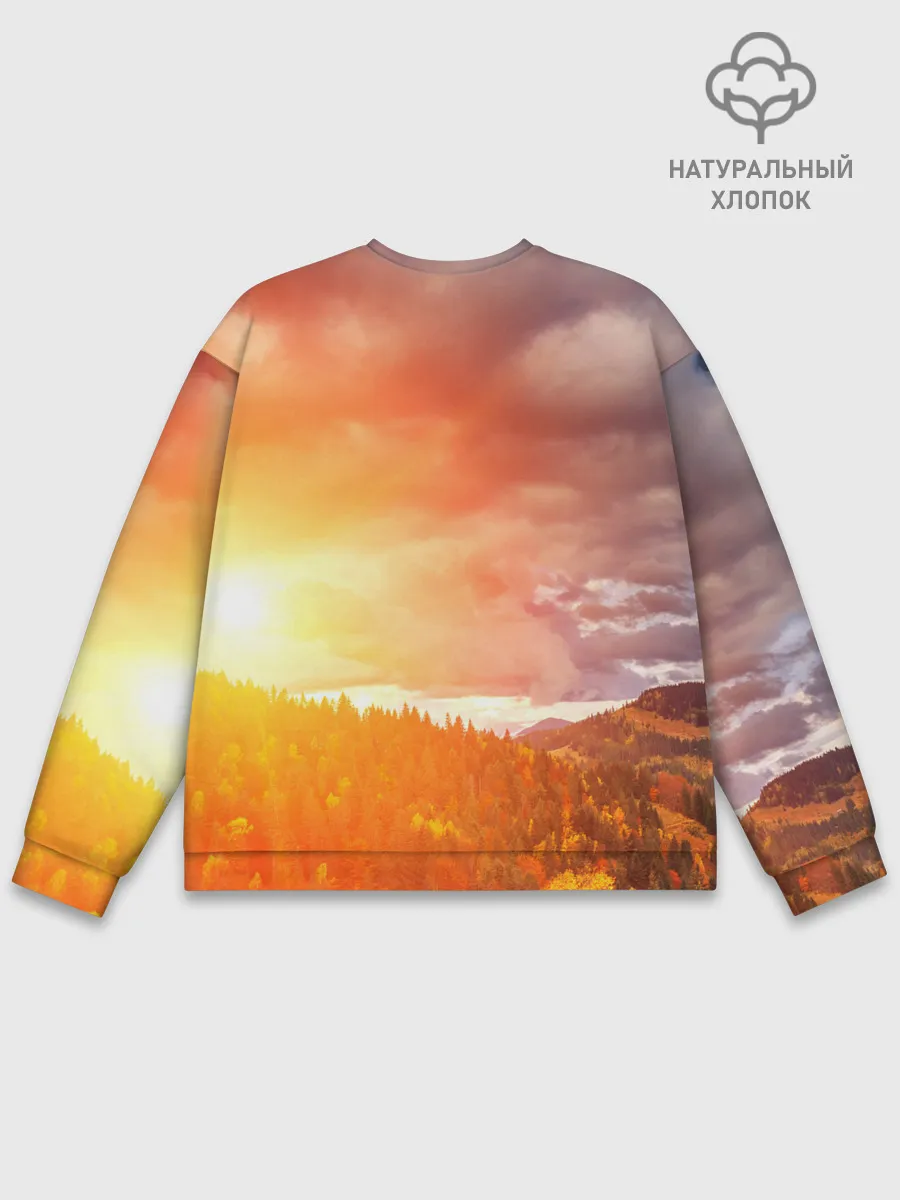 Мужской свитшот базовый / Night Fury