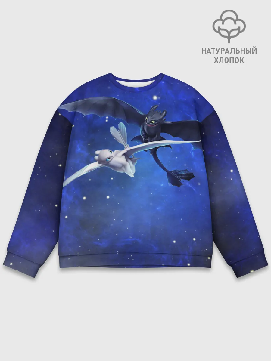 Мужской свитшот базовый / Night Fury