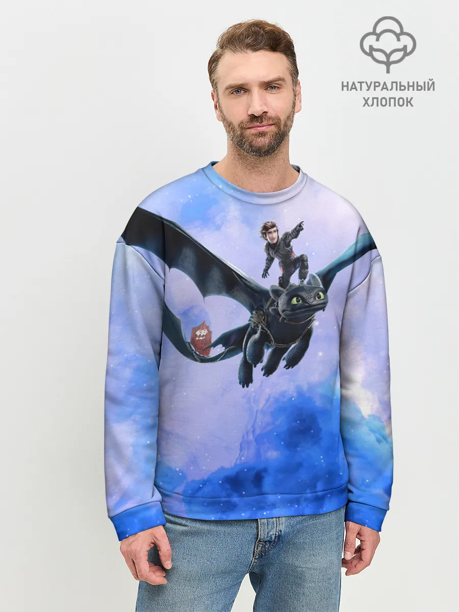 Мужской свитшот базовый / Night Fury