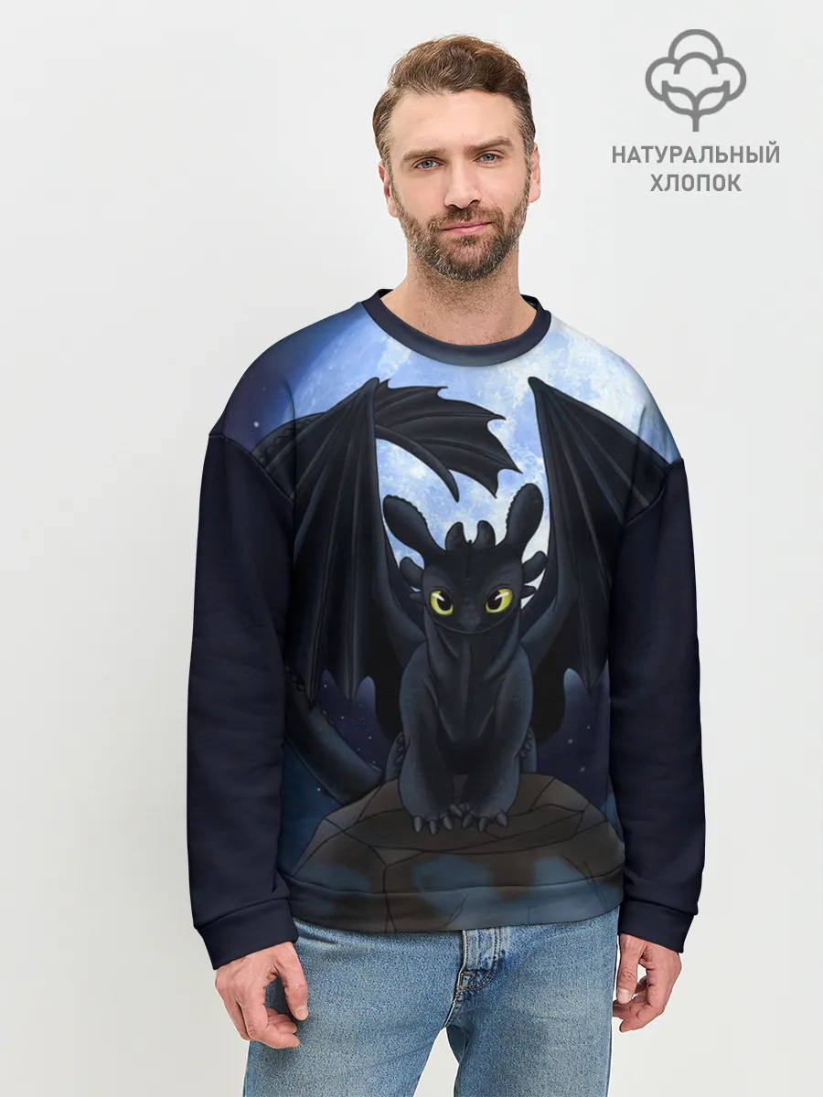 Мужской свитшот базовый / ночная фурия