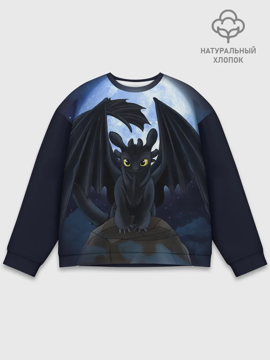 Мужской свитшот базовый / ночная фурия