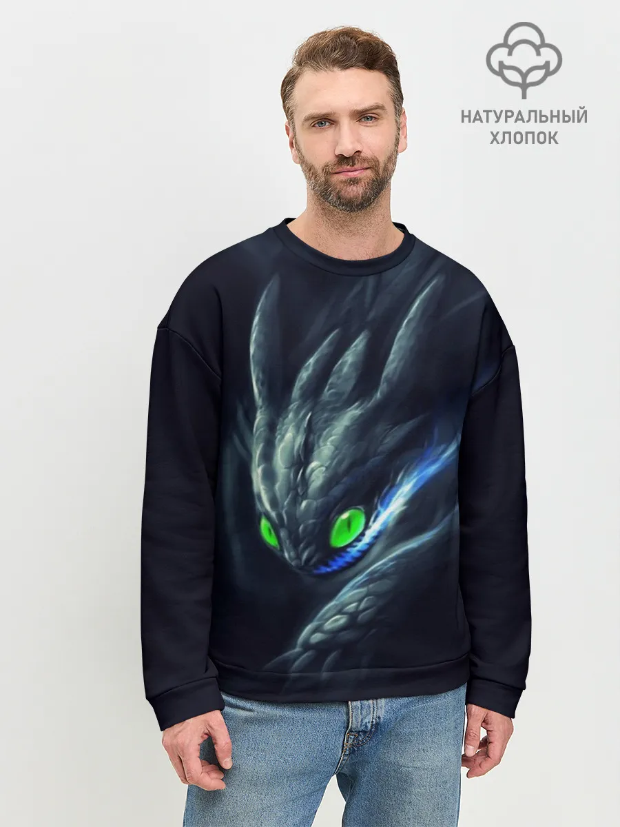 Мужской свитшот базовый / ночная фурия