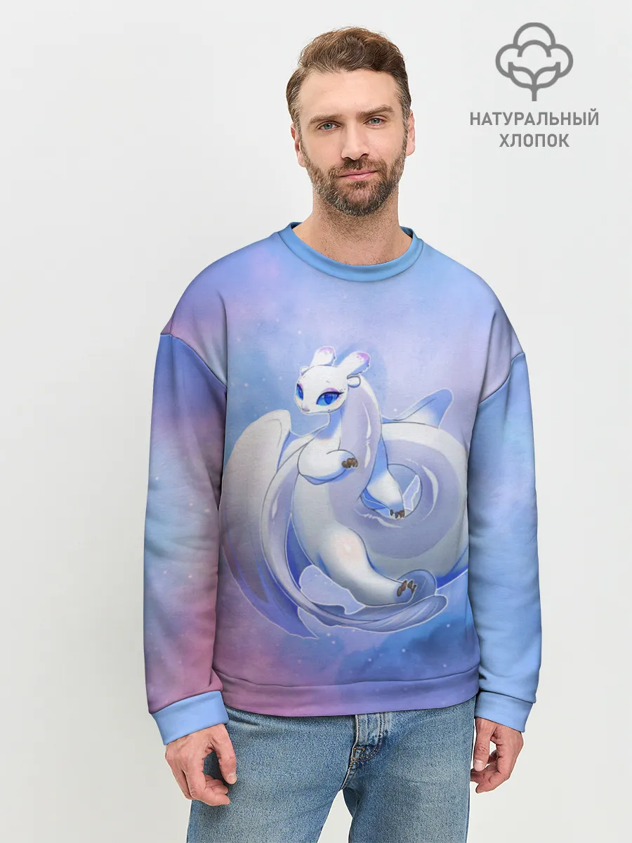 Мужской свитшот базовый / дневная фурия