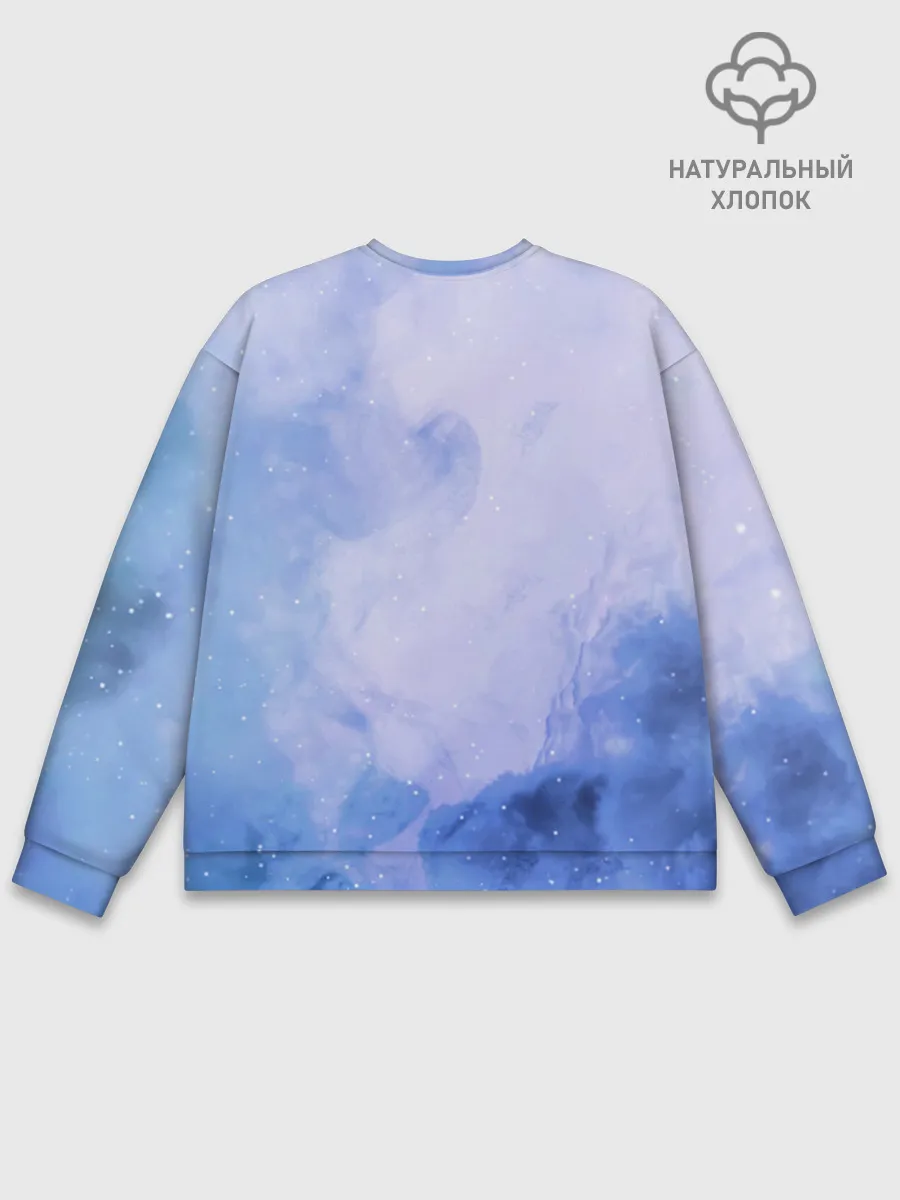 Мужской свитшот базовый / ночная фурия