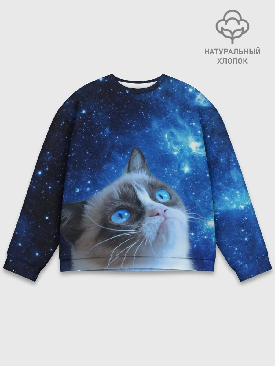 Мужской свитшот базовый / Сердитый кот в космосе