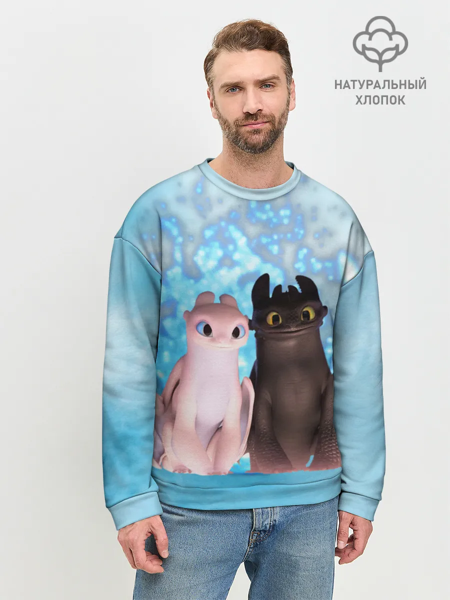 Мужской свитшот базовый / ночная фурия