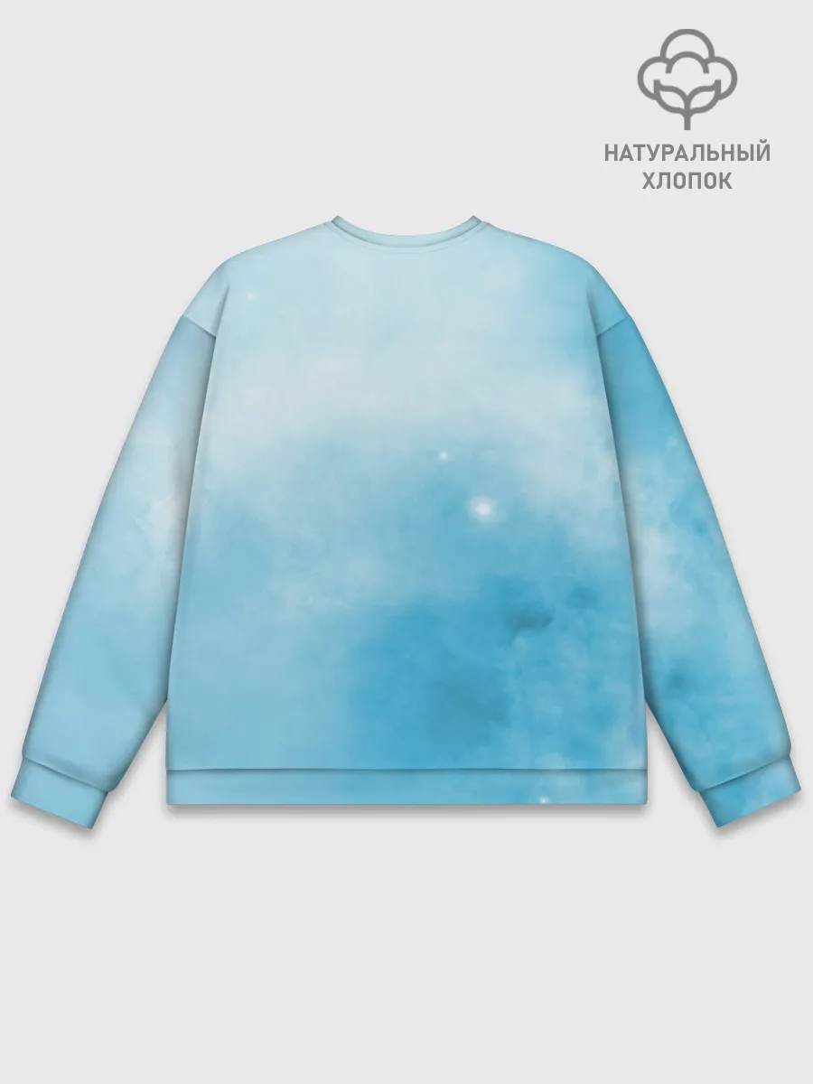 Мужской свитшот базовый / ночная фурия