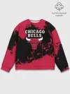 Мужской свитшот базовый / CHICAGO BULLS