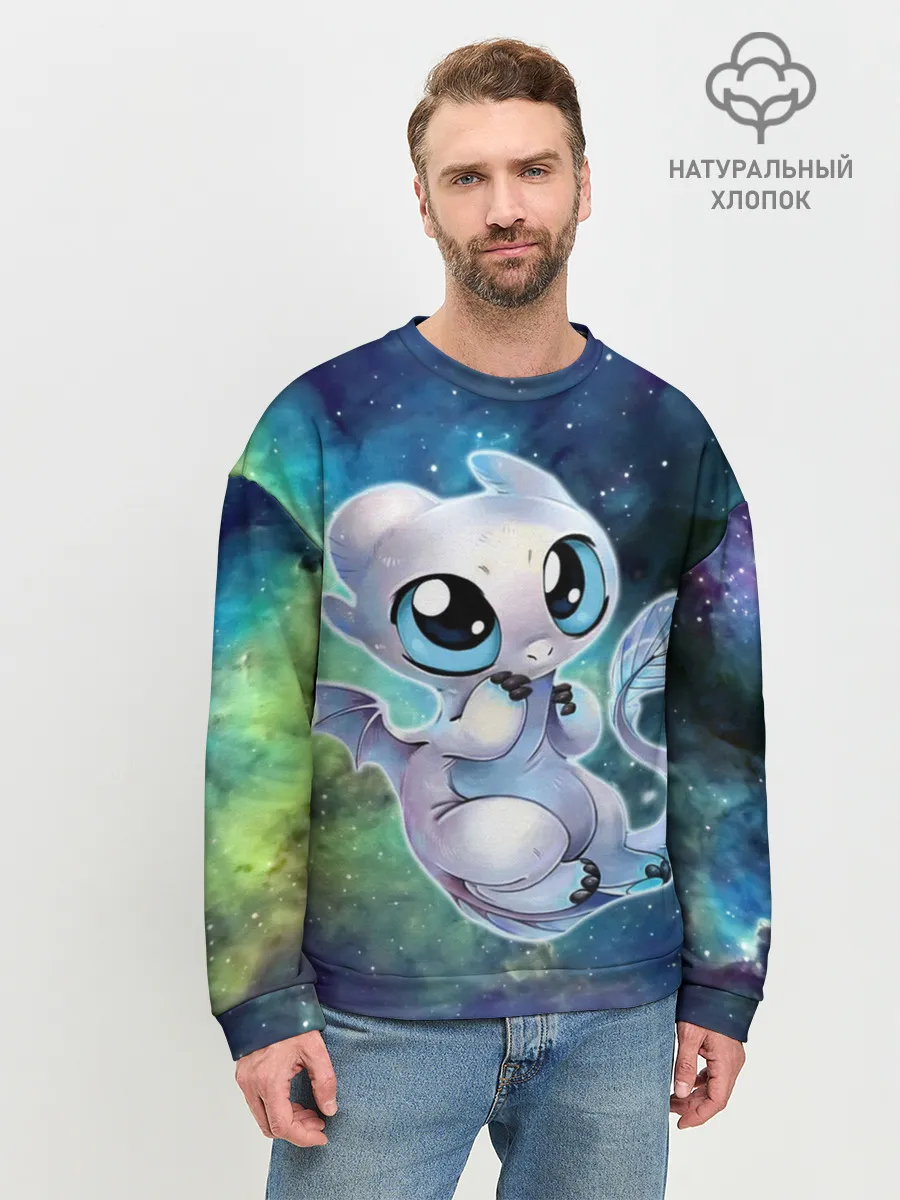 Мужской свитшот базовый / дневная фурия