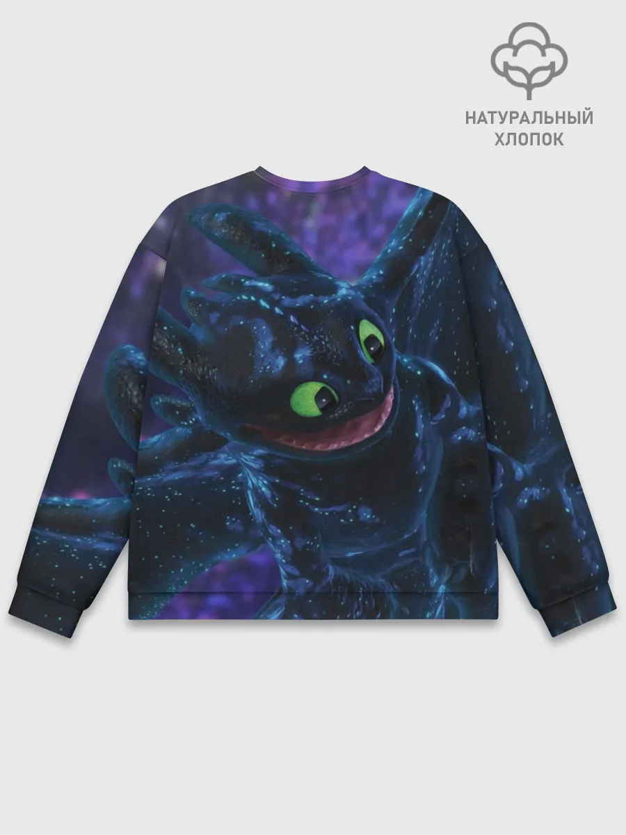 Мужской свитшот базовый / Как приручить дракона