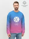 Мужской свитшот базовый / EXO