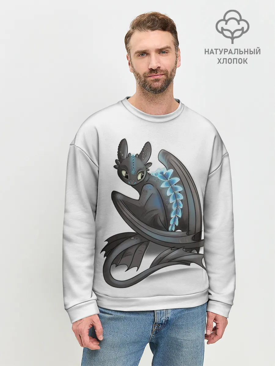 Мужской свитшот базовый / Как приручить дракона