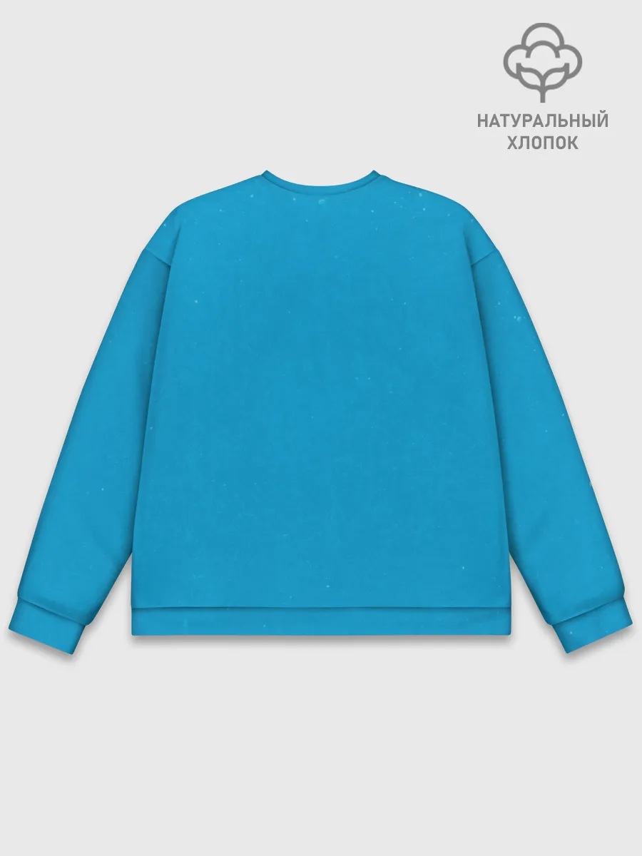 Мужской свитшот базовый / Invader Poro Pix