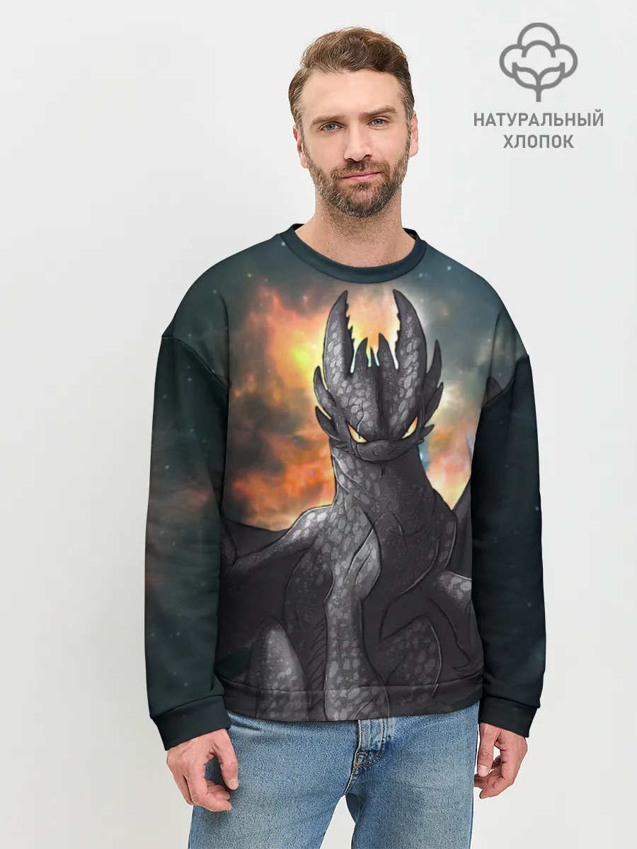 Мужской свитшот базовый / Night Fury