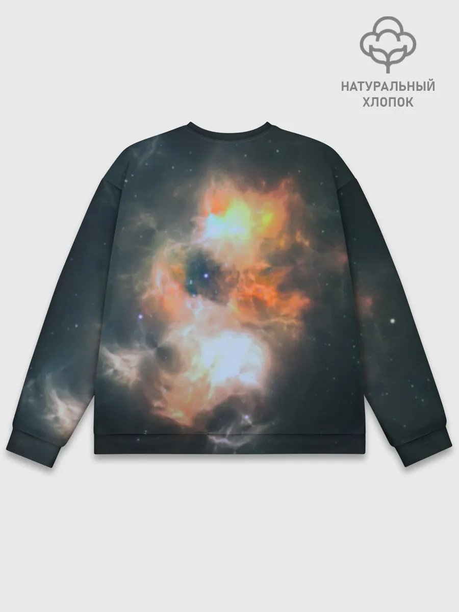 Мужской свитшот базовый / Night Fury