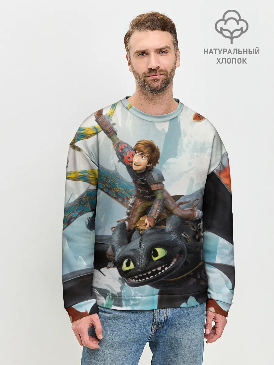 Мужской свитшот базовый / Как приручить дракона