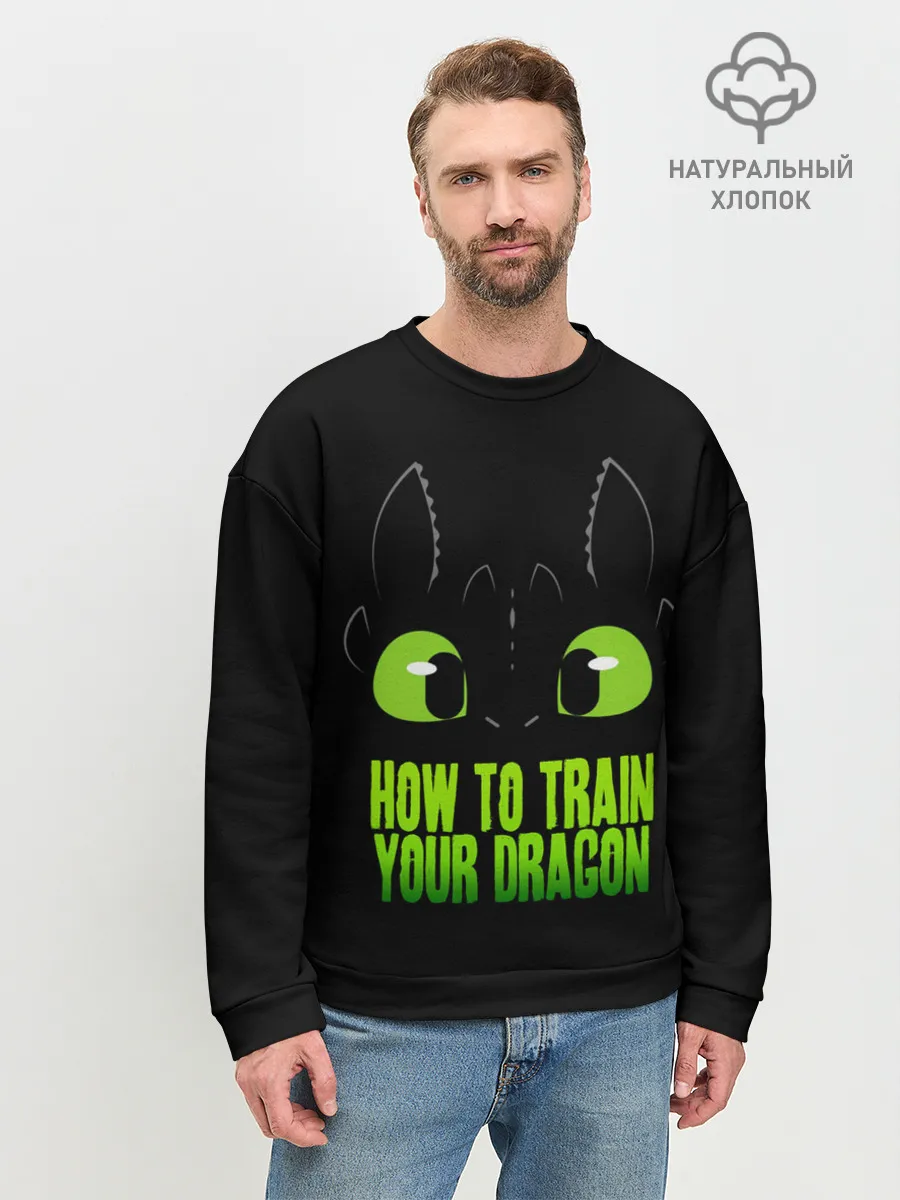 Мужской свитшот базовый / Как приручить дракона