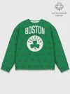 Мужской свитшот базовый / Boston Celtics