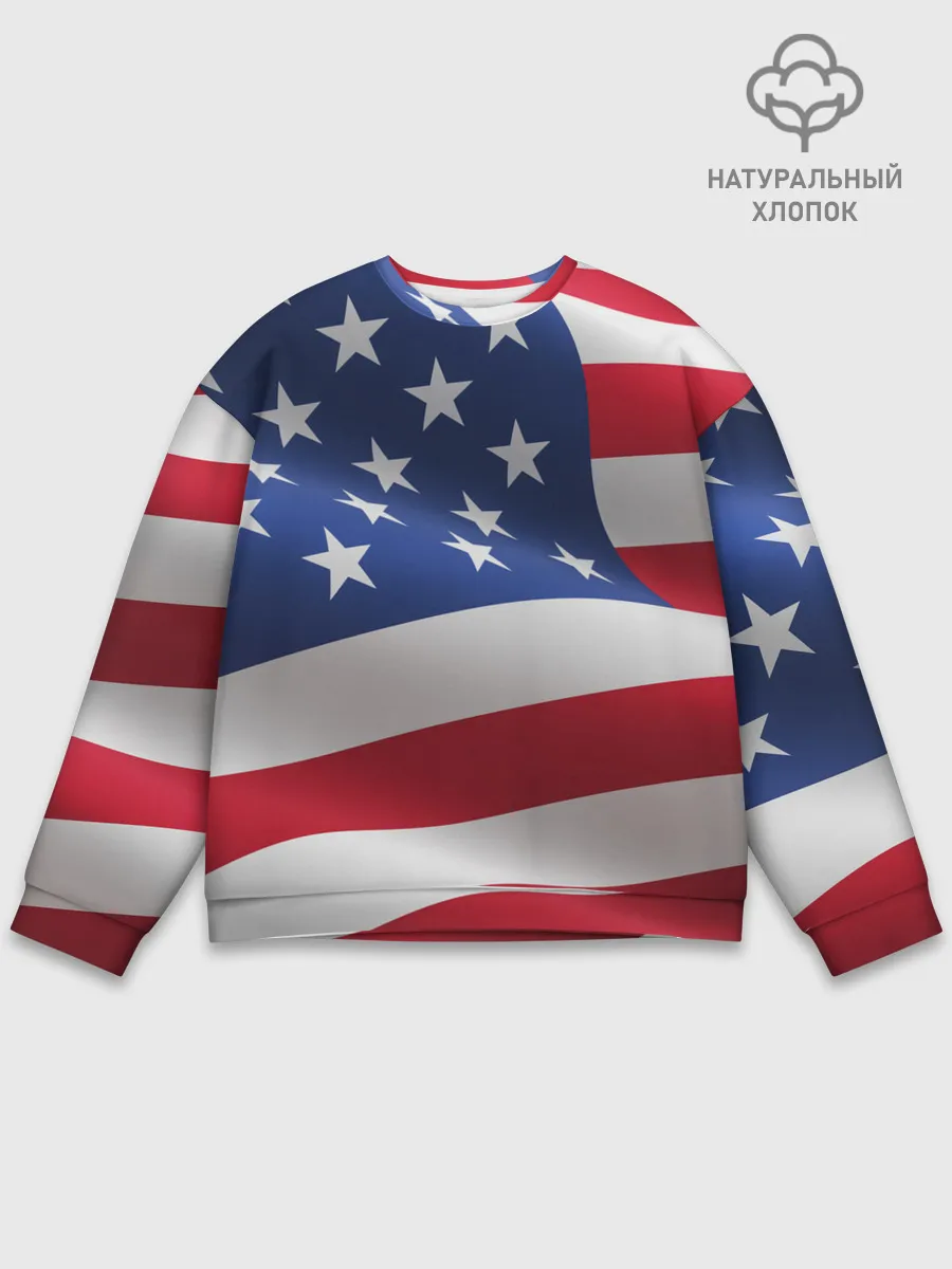 Мужской свитшот базовый / USA