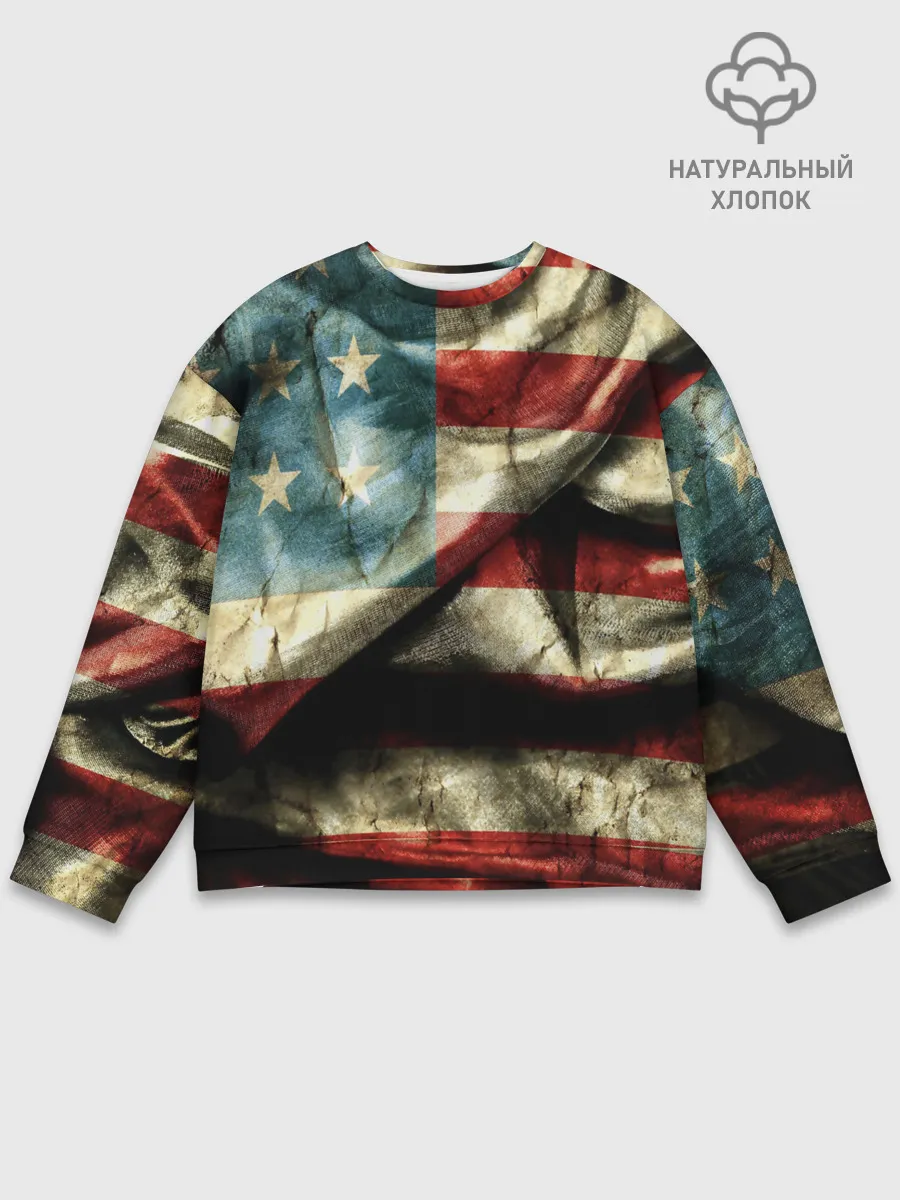 Мужской свитшот базовый / USA 3D