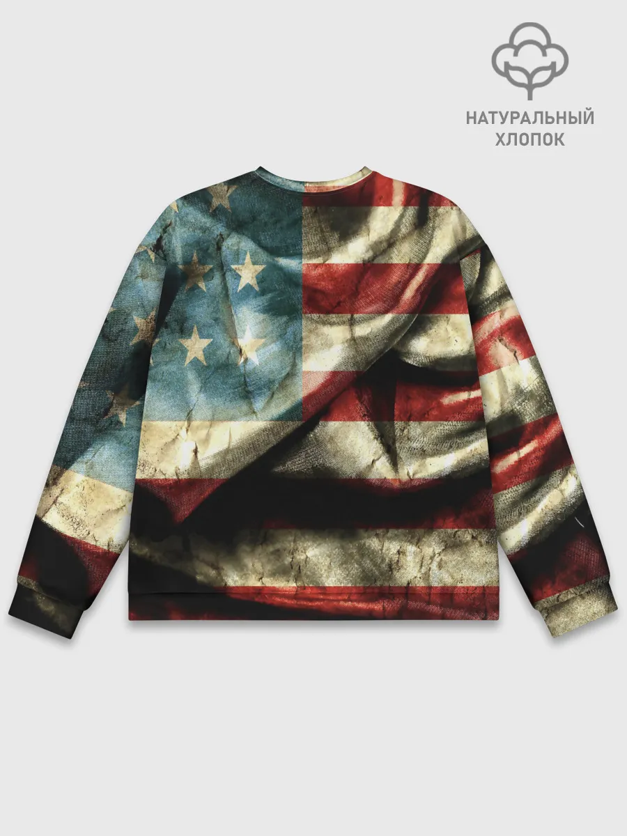 Мужской свитшот базовый / USA 3D