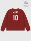Мужской свитшот базовый / Садьо Мане 19-20 форма