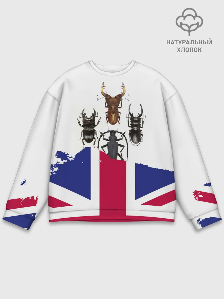 Мужской свитшот базовый / Жуки