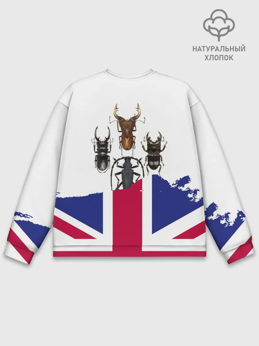 Мужской свитшот базовый / Жуки