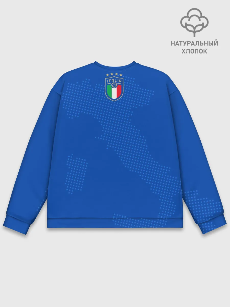 Мужской свитшот базовый / Сборная Италии