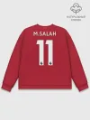 Мужской свитшот базовый / Salah home 19-20