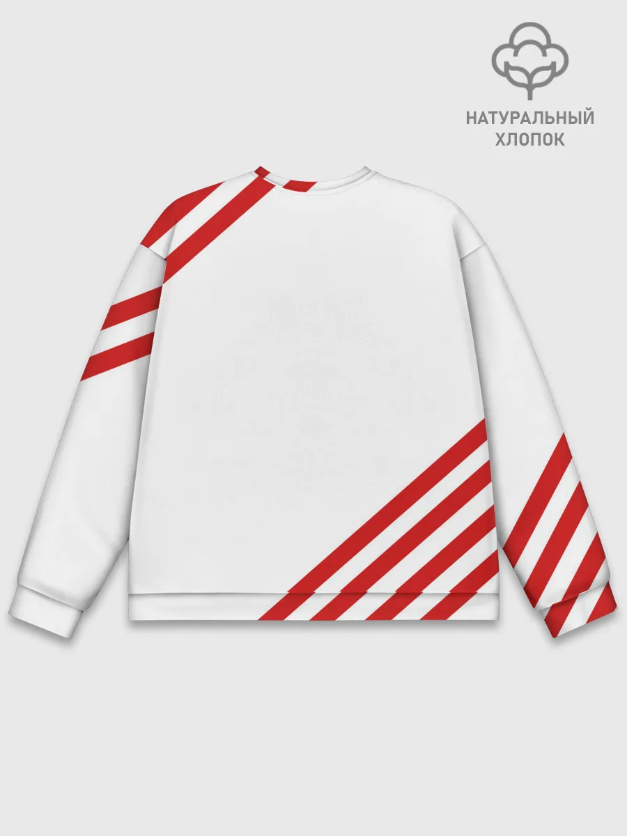 Мужской свитшот базовый / NASA