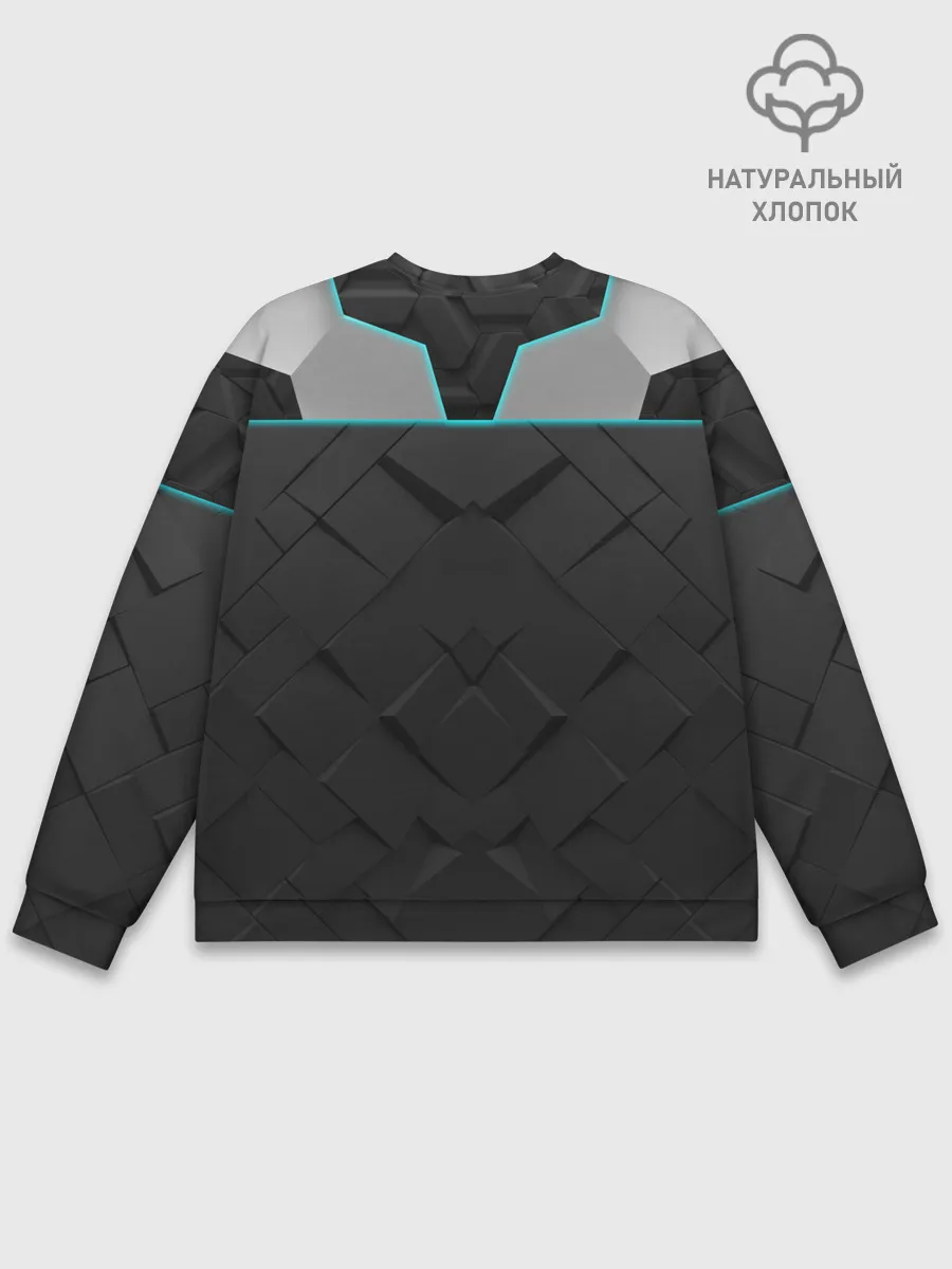 Мужской свитшот базовый / NASA