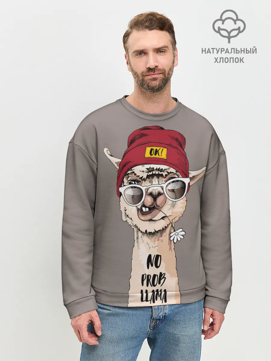 Мужской свитшот базовый / llama