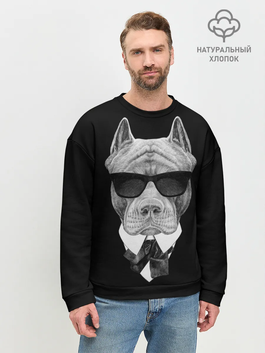 Мужской свитшот базовый / Питбуль