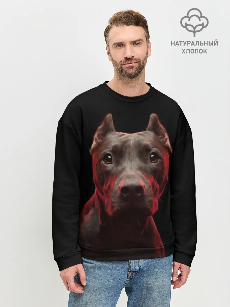 Мужской свитшот базовый / Стафф