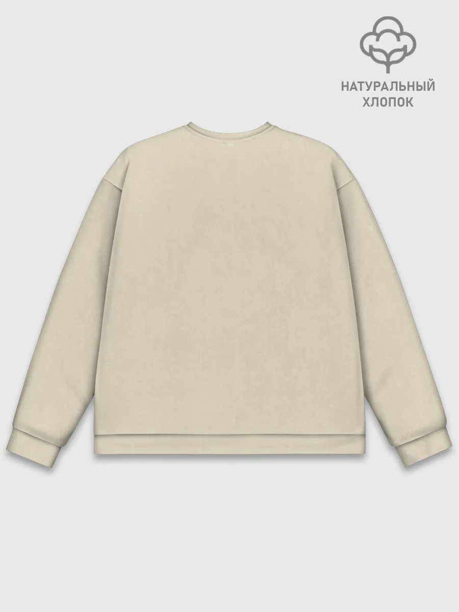 Мужской свитшот базовый / USSR 1922 - 1991