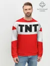 Мужской свитшот базовый / TNT