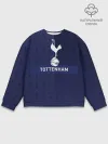 Мужской свитшот базовый / Тоттенхэм
