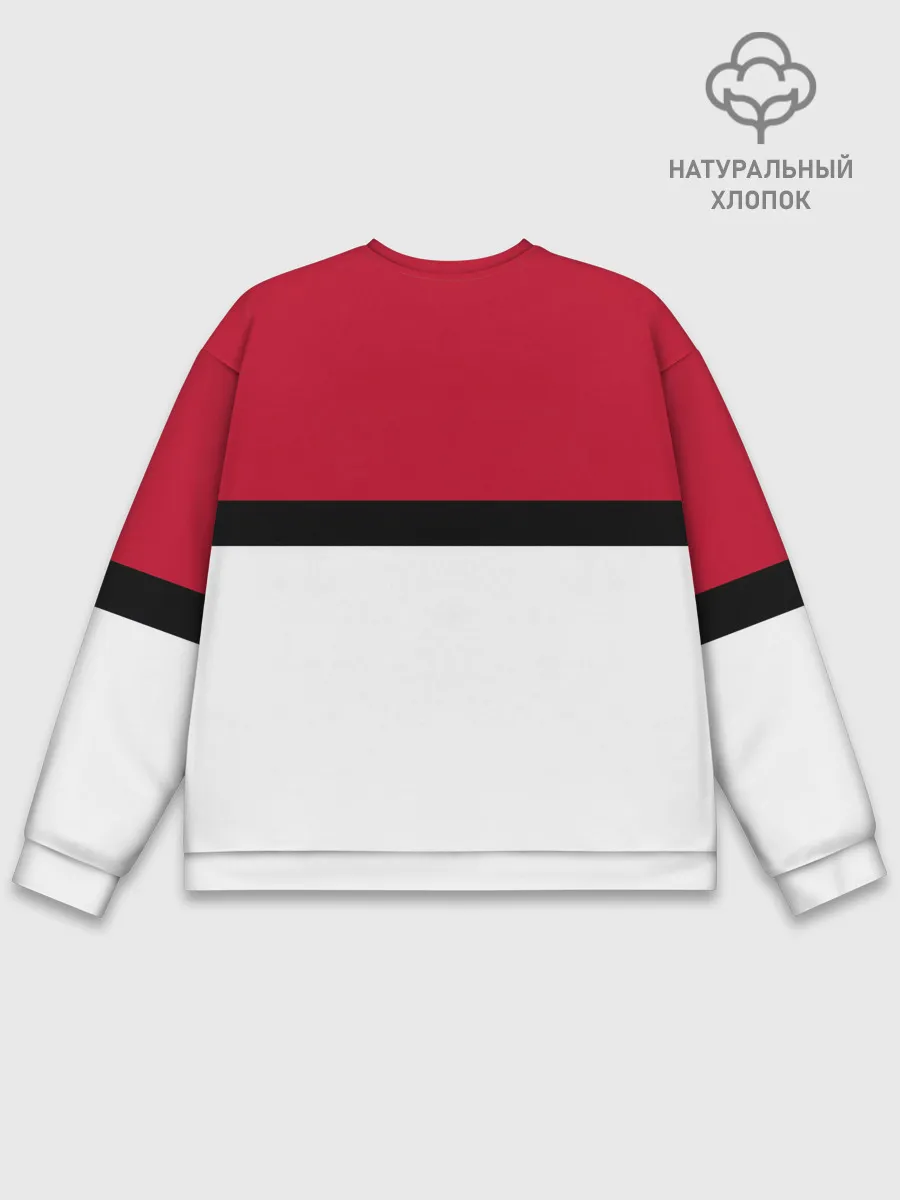 Мужской свитшот базовый / Покебол