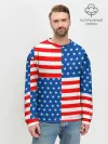 Мужской свитшот базовый / США