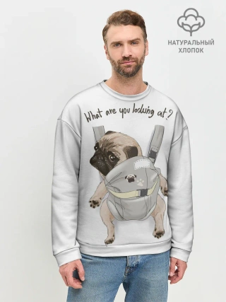 Мужской свитшот базовый / Мопс в рюкзаке