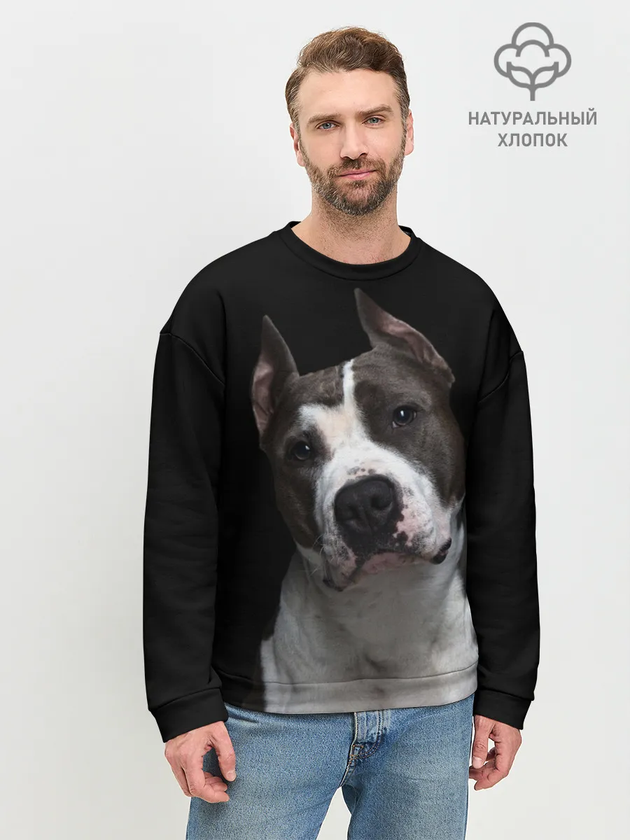 Мужской свитшот базовый / Американский питбуль