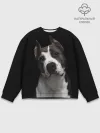 Мужской свитшот базовый / Американский питбуль