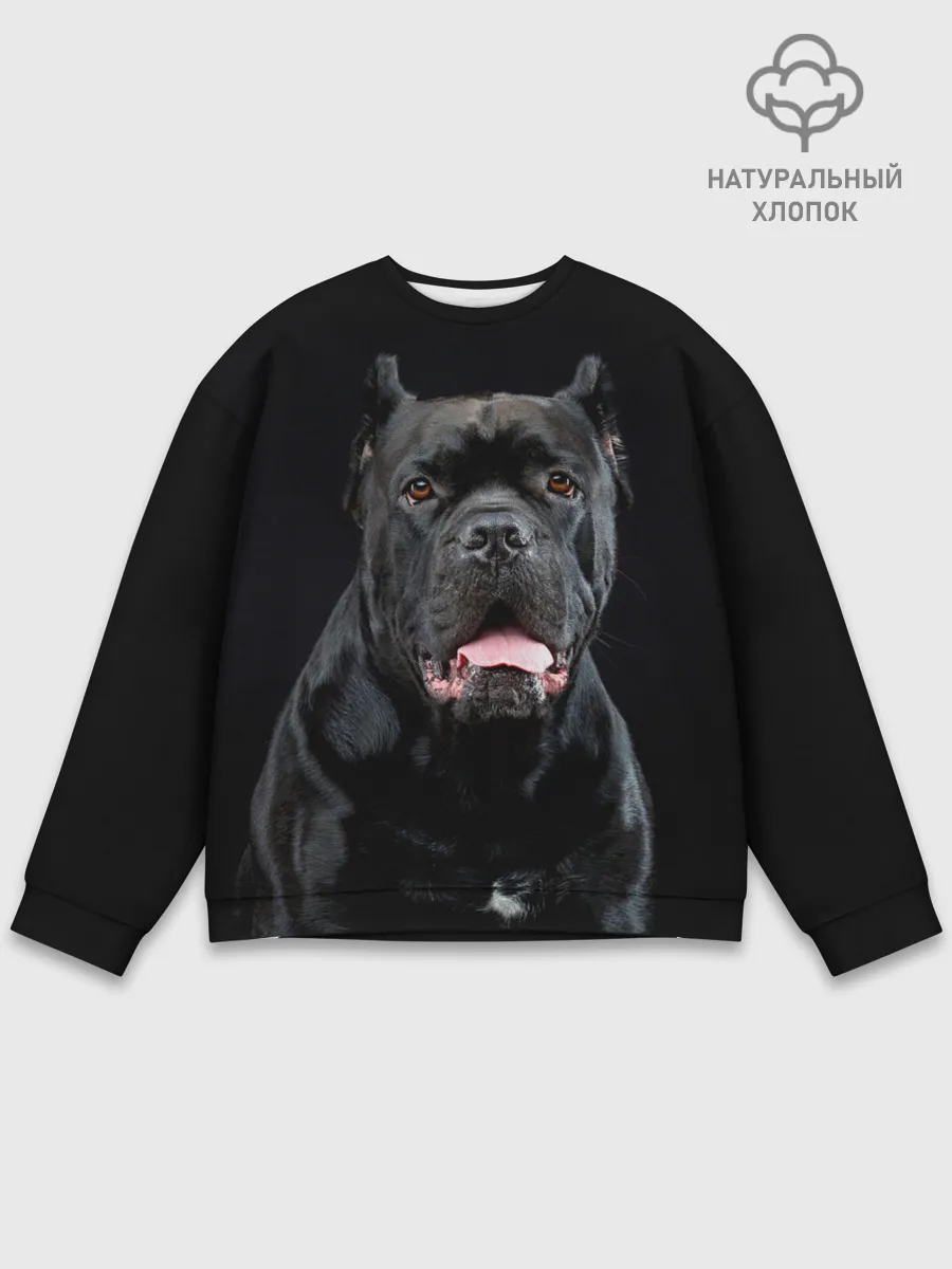 Мужской свитшот базовый / Черный кан - корсо