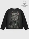Мужской свитшот базовый / Питбуль