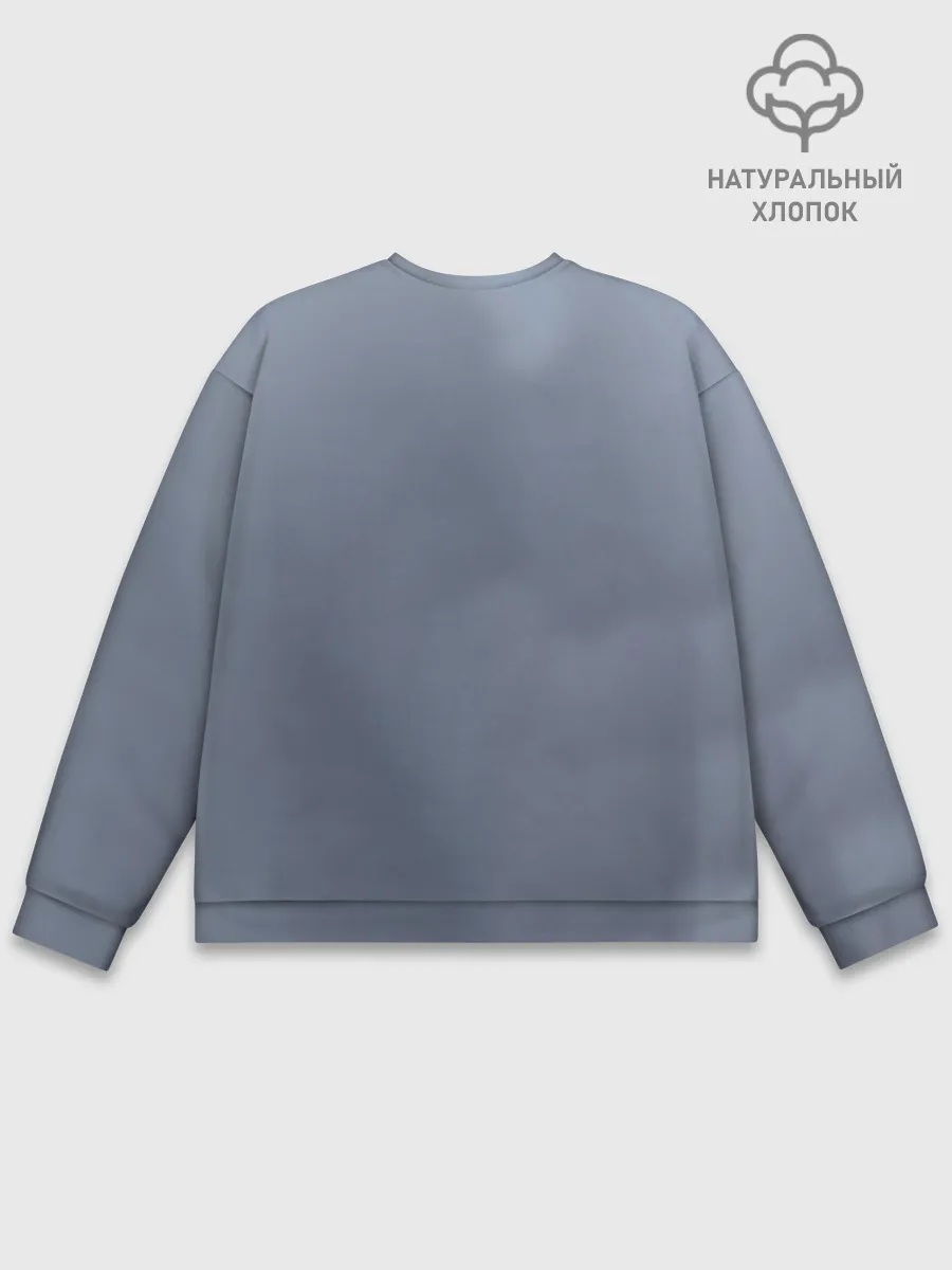 Мужской свитшот базовый / Sally Love