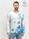 Мужской свитшот базовый / Juventus