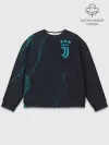 Мужской свитшот базовый / Juventus