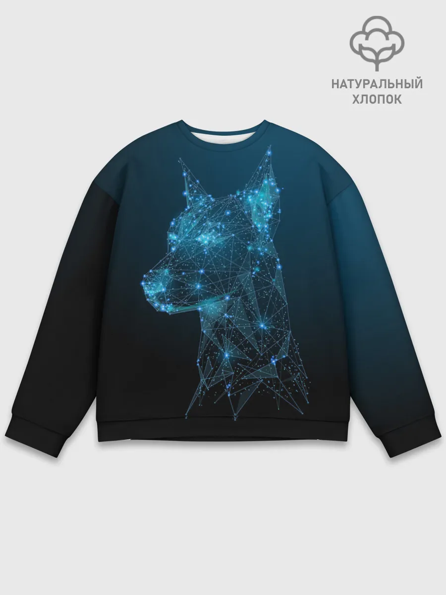 Мужской свитшот базовый / Доберман